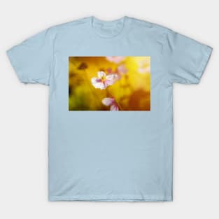 Anemone flower at sunset against blurry T-Shirt